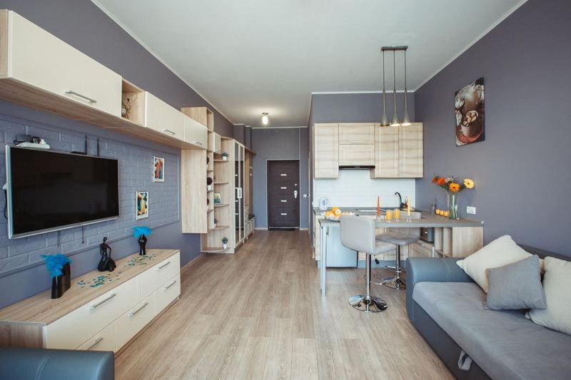 Просторная однокомнатная квартира